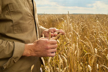 Similar image 22304614