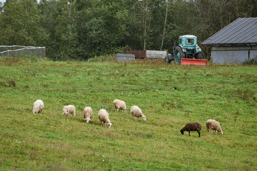 Similar image 22303117