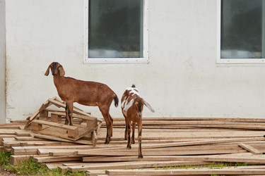 Similar image 22303113