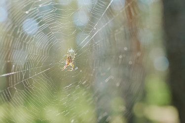 Similar image 22305290