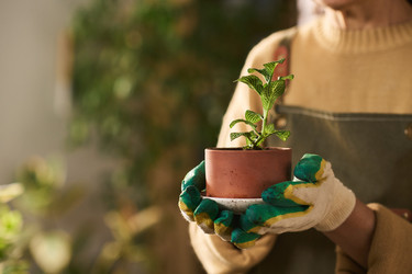 Similar image 22304520