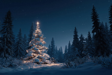 Similar image 22307313