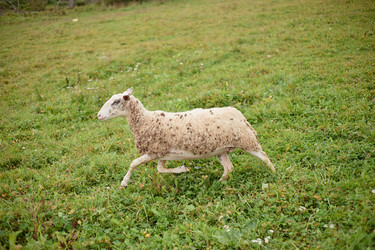 Similar image 22303183