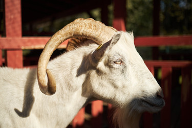 Similar image 22306449