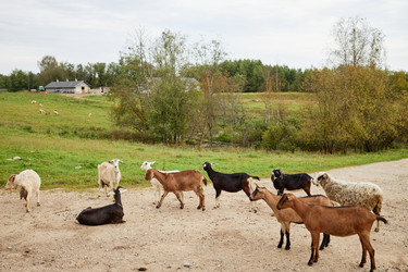 Similar image 22303119