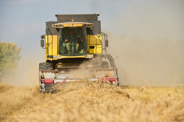 Similar image 22304589