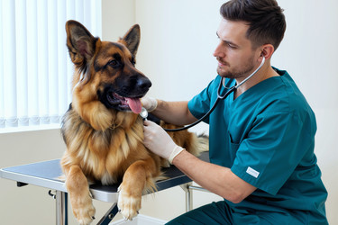 Similar image 22308210