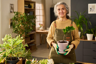 Similar image 22304524