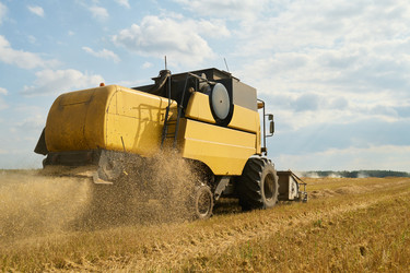 Similar image 22304593