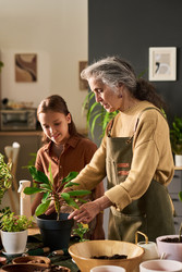 Similar image 22304544