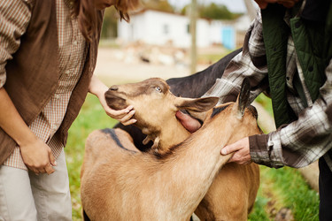 Similar image 22303135