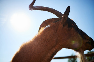 Similar image 22306478