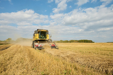 Similar image 22304585