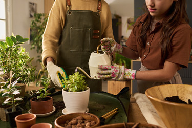 Similar image 22304510