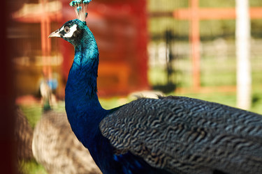 Similar image 22306422