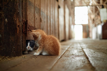 Similar image 22303125