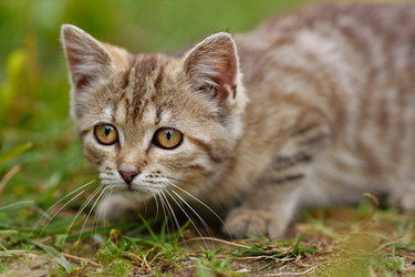 Similar image 22302913