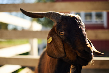 Similar image 22306499