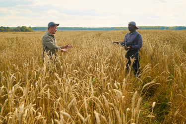 Similar image 22304655