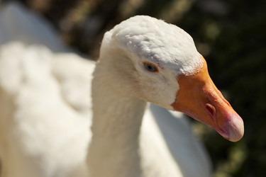 Similar image 22306420