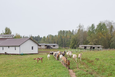 Similar image 22303181