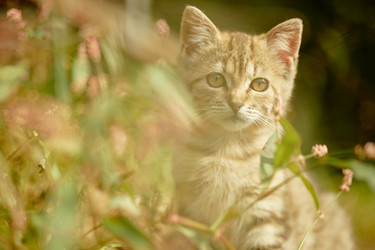 Similar image 22302901