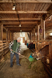 Similar image 22303207