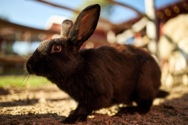 Similar image 22306461