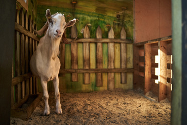 Similar image 22306443