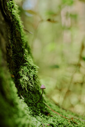 Similar image 22305279