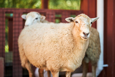 Similar image 22306431