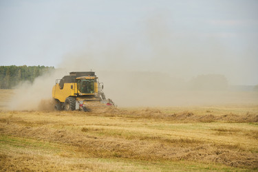 Similar image 22304603