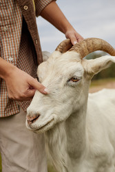 Similar image 22303141