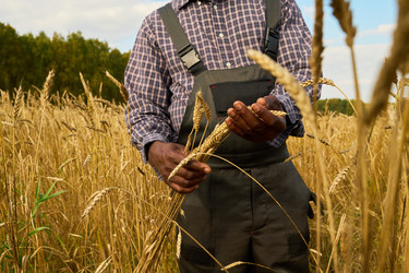 Similar image 22304633