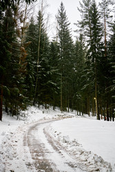 Similar image 22302514