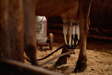 Similar image 22303199