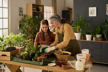 Similar image 22304578