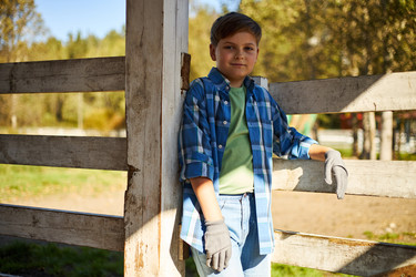 Similar image 22306500