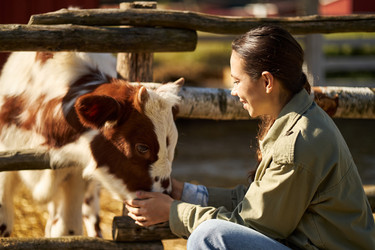 Similar image 22306509