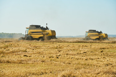 Similar image 22304729