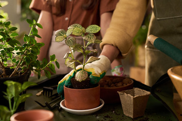 Similar image 22304577