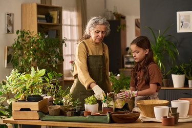 Similar image 22304512