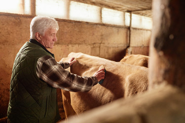 Similar image 22303208