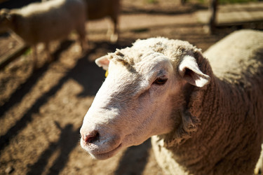 Similar image 22306451