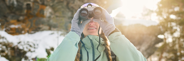 Similar image 22342637