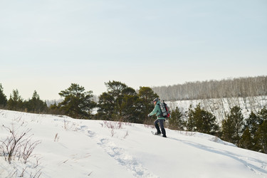 Similar image 22342486