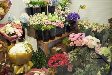 Similar image 22344120