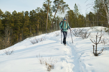 Similar image 22342524