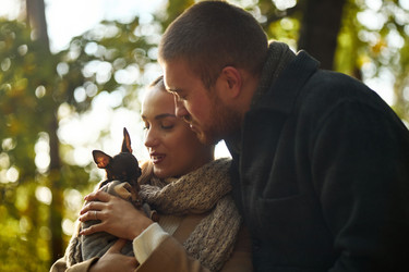 Similar image 22343848