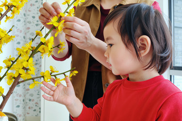 Similar image 22346616